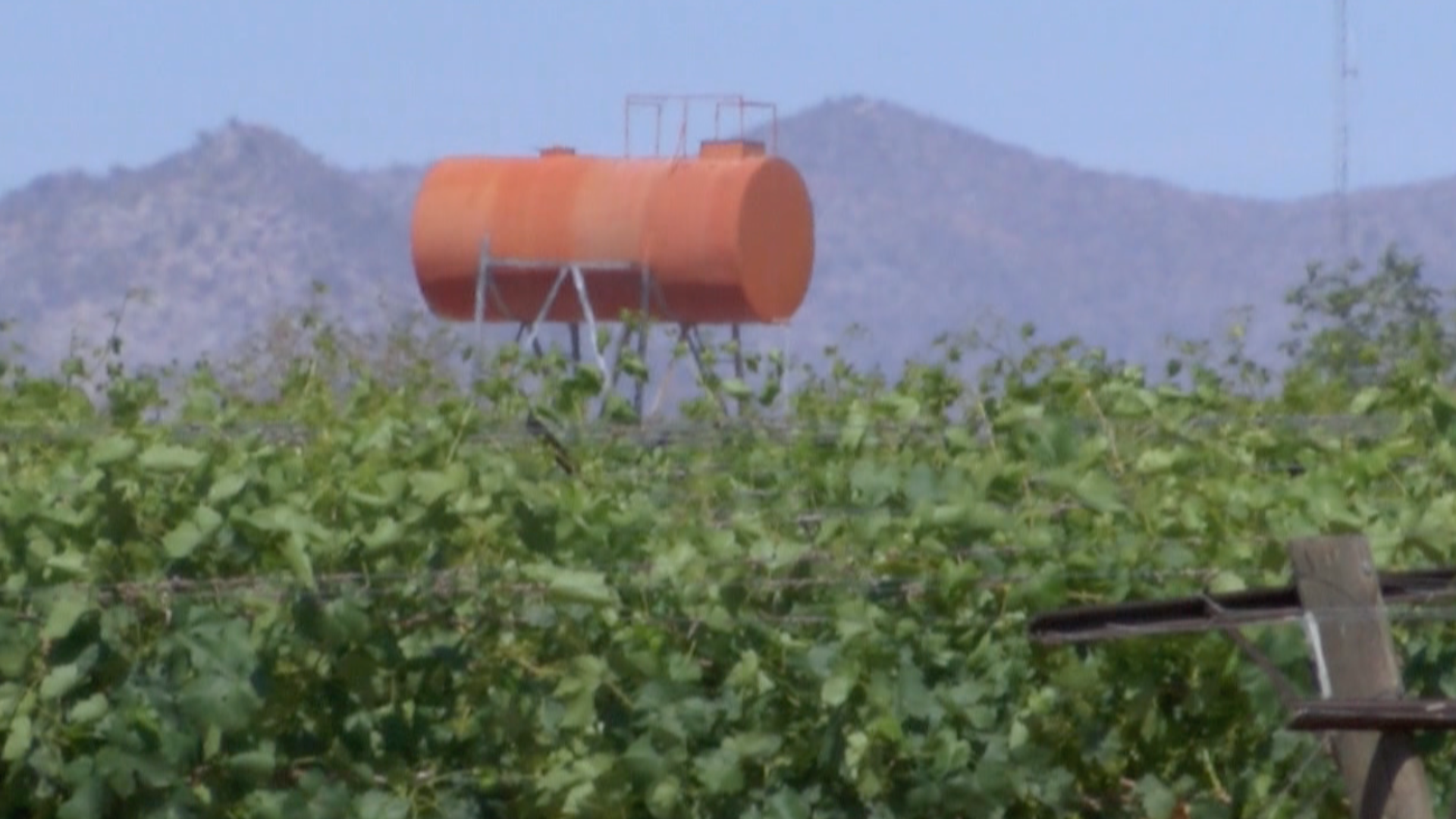 Localizan a Hombre Sin Vida en Represo de Campo Agrícola en la Costa de Hermosillo